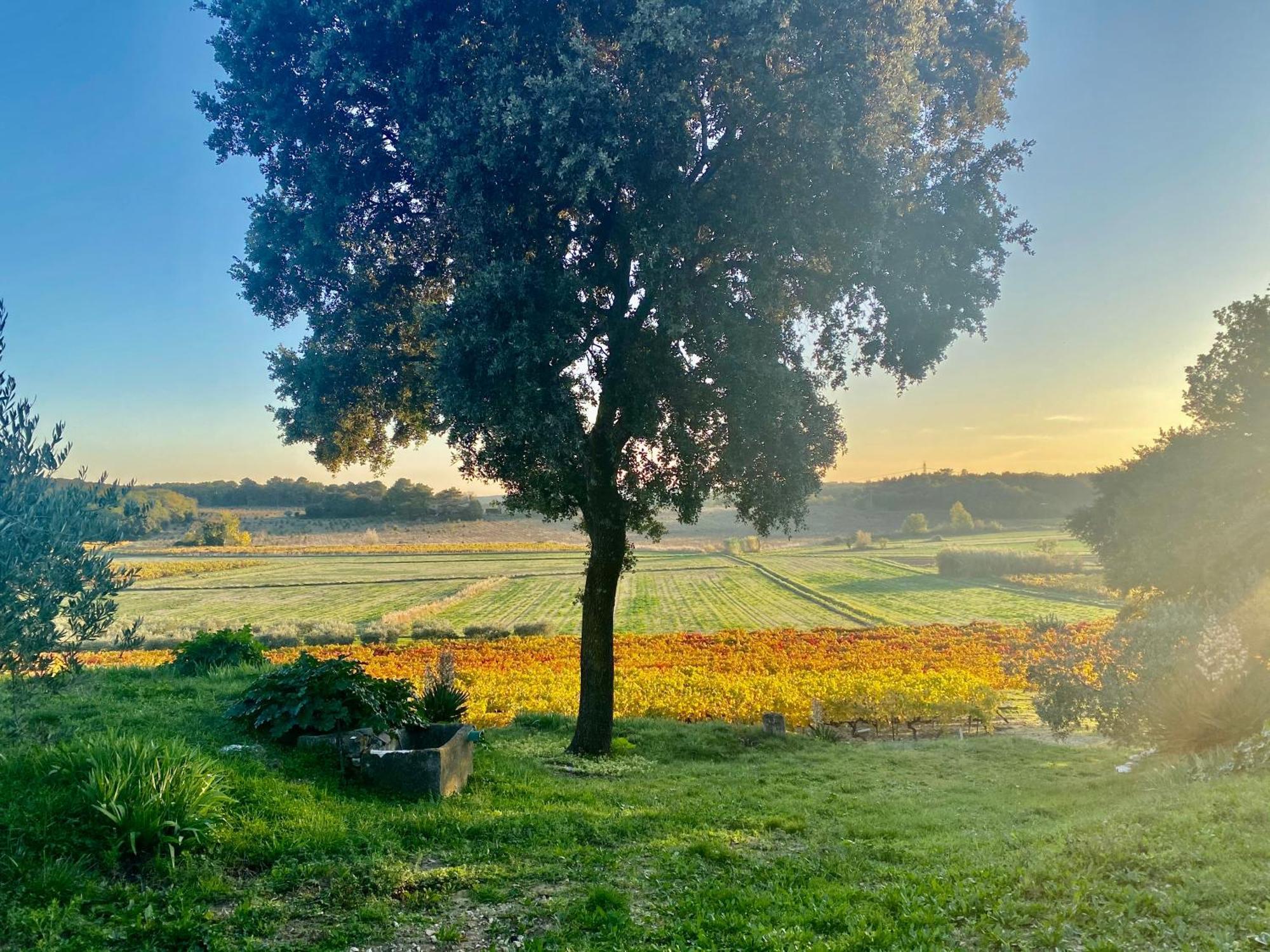 مبيت وإفطار Mondragon Domaine Du Commandeur المظهر الخارجي الصورة